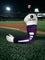 Purple w/ White Stripe Sleeve